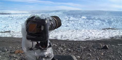 Ubicaron una cámara en un lugar remoto en Groenlandia, lo ...