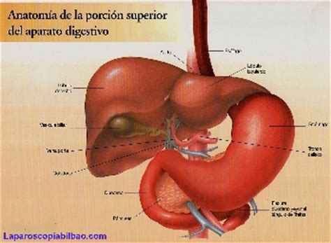 Ulcera gastroduodenal