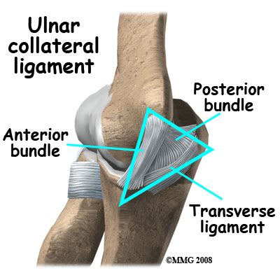 Ulnar Collateral Ligament Injuries | eOrthopod.com