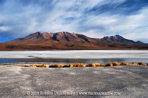Um Exuberante Deserto no Altiplano da Bolivia | Viaje na ...