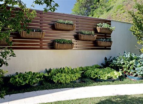 Uma horta orgânica que é um luxo   Casa e Jardim | Horta
