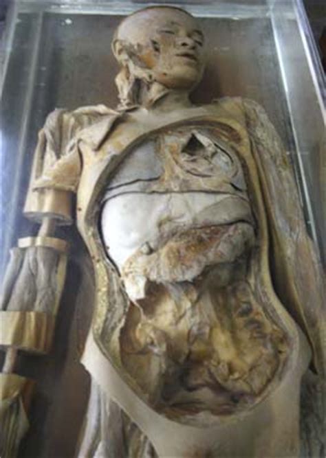 Un macabro museo tailandés exhibe cadáveres de asesinos y ...