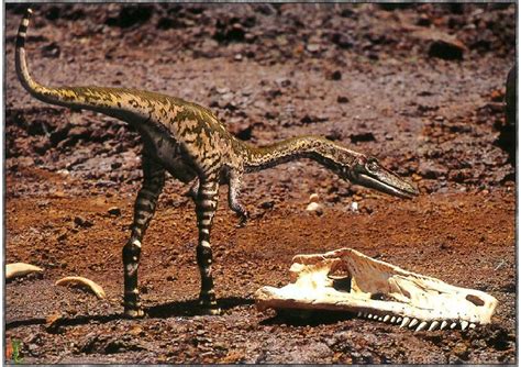 Un paseo entre Dinosaurios: Periodo Triásico