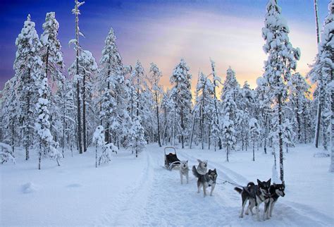 Un paseo por un paraíso helado  Kainuu, Finlandia    101 ...