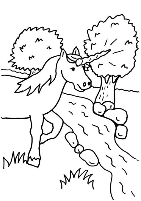 Un unicornio en un arroyo: dibujo para colorear e imprimir