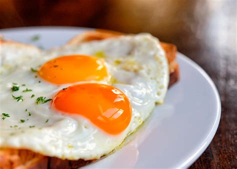 ¿Un vegano puede comer huevo? | Portal Vida Sana