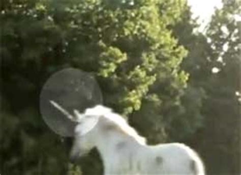 Un videoaficionado graba un unicornio en Canadá | El blog ...
