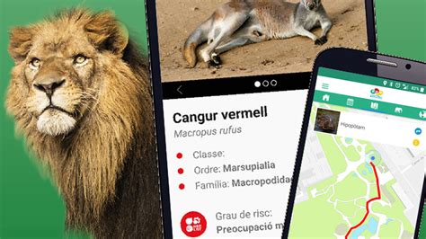 Una app que te ayuda a explorar el Zoo | Zoo Barcelona