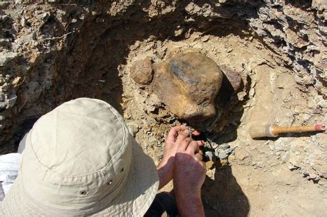 Una década de excavaciones en el yacimiento de dinosaurios ...
