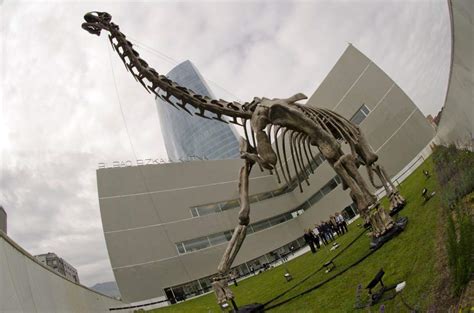 Una exposición muestra en Bilbao el esqueleto a escala ...