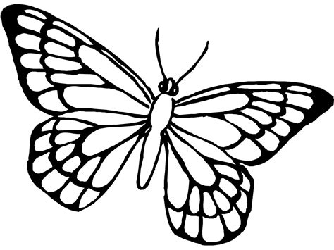 Una farfalla in volo da colorare   disegni da colorare e ...