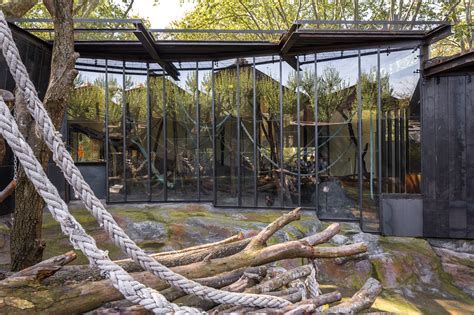 Una nueva casa para los orangutanes del Zoo de Barcelona ...