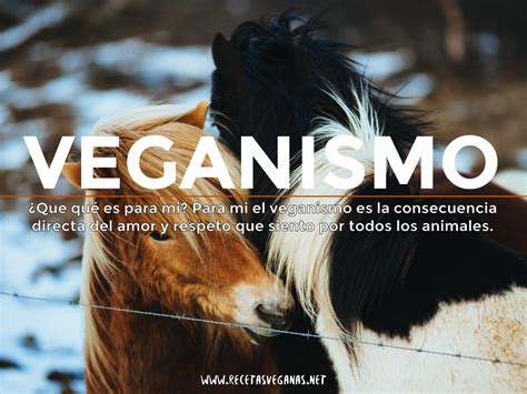 Una Vegana Por El Mundo | Blog vegano | Viajes veganos ...