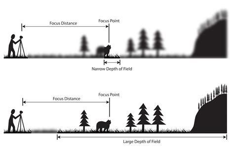 Understanding Depth of Field   A Beginner s Guide ...