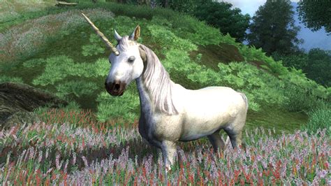 Unicorn | Elder Scrolls | FANDOM powered by Wikia