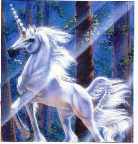 Unicornio | Wiki Mitología | FANDOM powered by Wikia