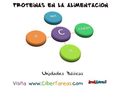 Unidades Básicas – Proteínas en la Alimentación | CiberTareas