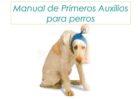 UNIDEM   Manual Primeros Auxilios Canino PERROS K9   UNIÓN ...