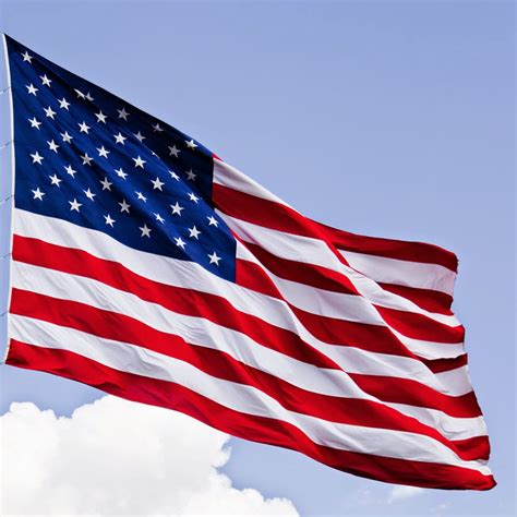 United States of America Flag | Buzz Photos