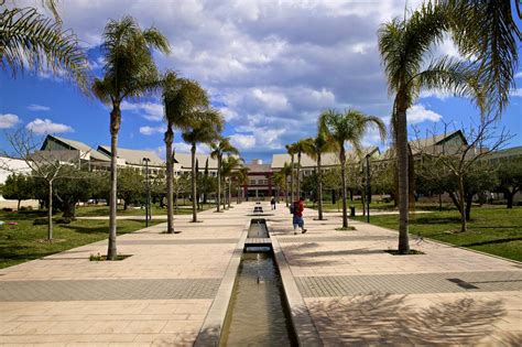 Universidad de Alicante: una visión internacional y dobles ...