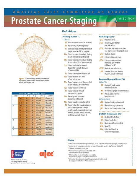 Urology Care Foundation What Is Prostate Cancer | Autos Post