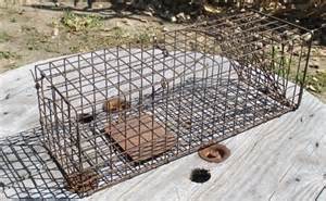 Used Animal Traps   For Sale Classifieds