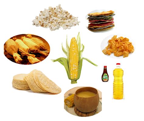 Usos generales de los Cereales   Usos del Maíz