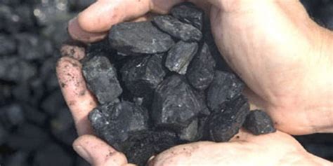 Usos y propiedades del carbón vegetal
