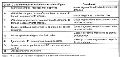 V Congreso Virtual Hispanoamericano de Anatomía Patológica ...