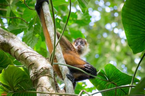 Vacaciones en Costa Rica