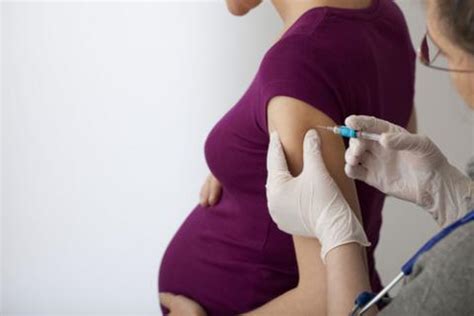 Vacunas durante el embarazo: rabia, hepatitis, neumonía y ...