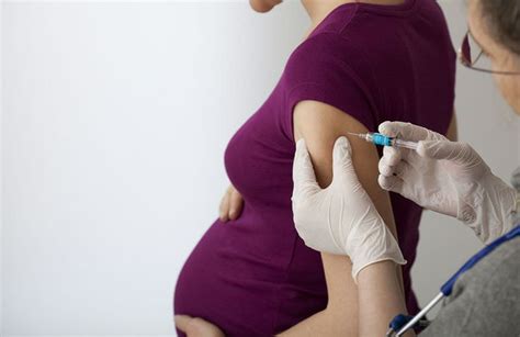 Vacunas en el embarazo   Semanas de Embarazo