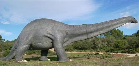 Valle de los dinosaurios de Algaida | Aire libre, Parques ...