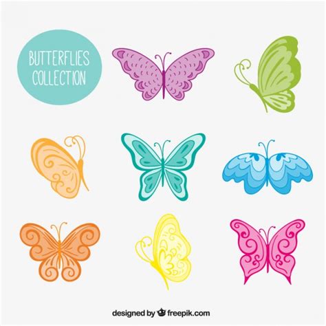 Variety of colored hand drawn butterflies Vector | Free ...