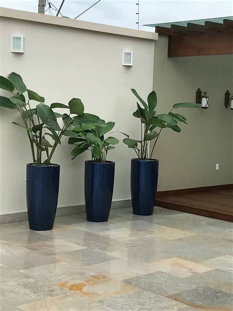 Vaso Grande Para Plantas Estilo Ceramica Vietnamita   R ...