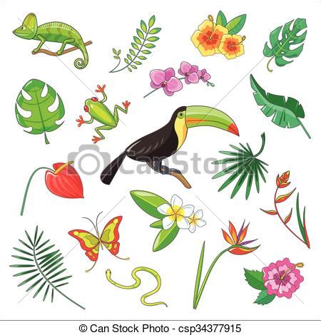 Vector Clip Art de tropical, plantas, animales, icono ...