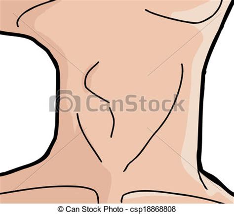 Vector Clipart of Neck Close Up   Close up of human neck ...