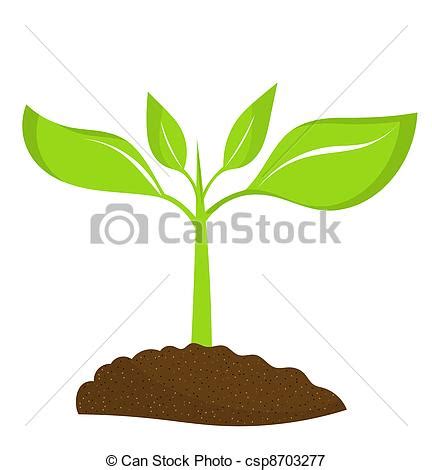 Vector Illustratie van plant, jonge   plant, kiemplant ...
