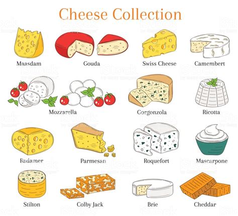 Vector Set Of Different Types Of Cheese Hand Drawn ...