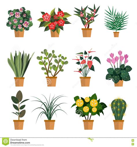 Vector Set Of Flowers. Illustration With Different Types ...
