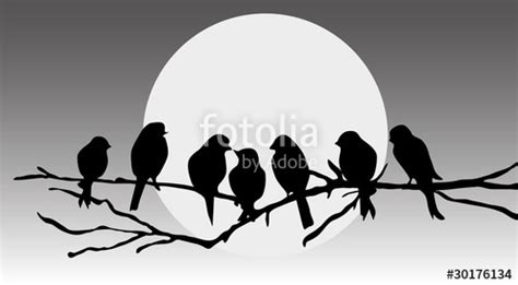 vector silhouette birds on branch tree  Stock image and ...