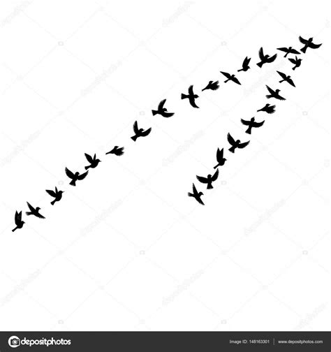 Vector siluetas de pájaros volando — Vector de stock © cat ...