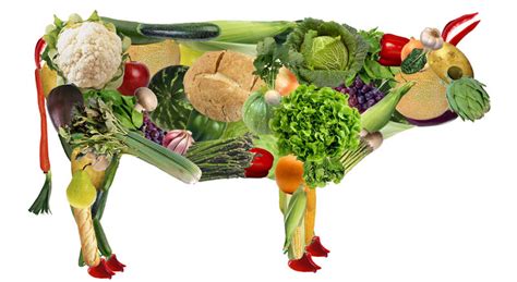 Vegetariano ou Vegan e Fazer uma Dieta de Baixo Teor de ...