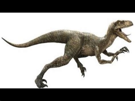 Velociraptor | Enciclopedia sobre Dinosaurios   YouTube