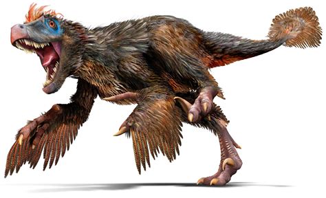 Velociraptor | Velociraptor Facts | DK Find Out