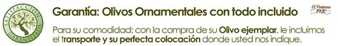 Venta de olivos Madrid【Olivos Milenarios y Centenarios】