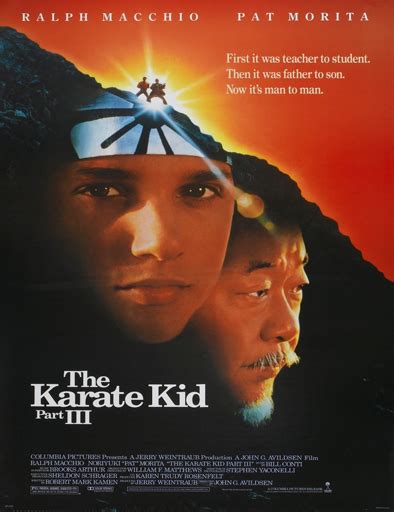 Ver Karate Kid 3 pelicula completa