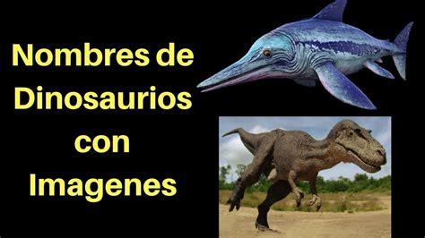 Ver Nombres De Dinosaurios | www.imagenesmy.com