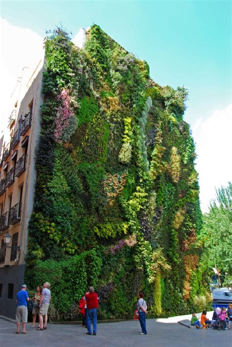 Vertical Garden. By Patrick Blanc in Madrid Spain | Bear Tales