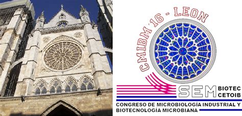 VI CMIBM, Congreso de Microbiología industrial – Léon